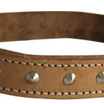 Dog Collar No. 7