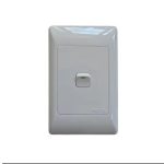 Pays White 4X2 1L 1W Switch (SWIZ01)