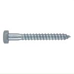 Coach Screws 6X50 (5)