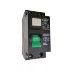 Earth Leakage Raytric 63A 2P Mini Rail